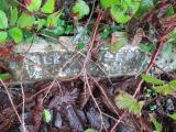 image of grave number 373439